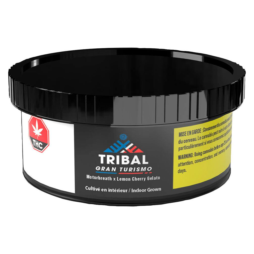 Product image Tribal - Gran Turismo 1