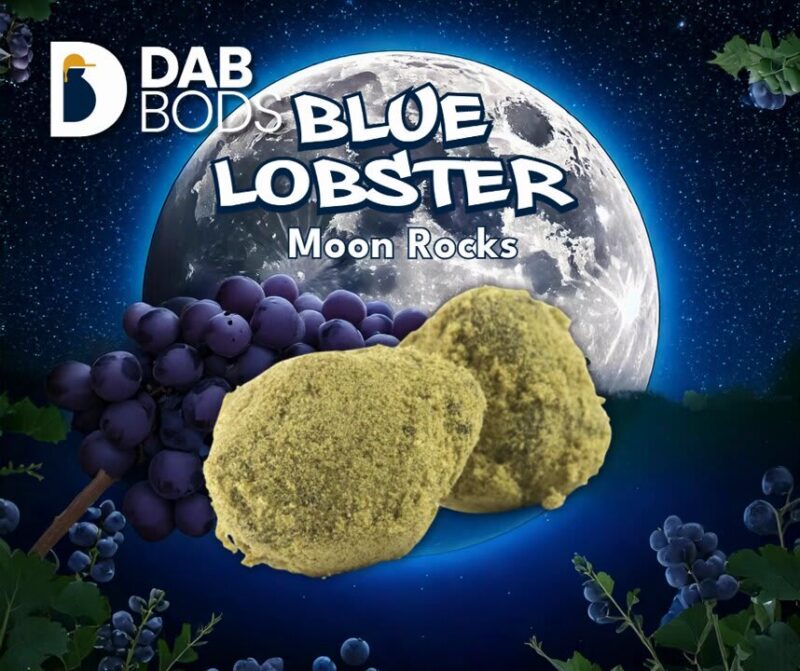 Blue Lobster 2g Moon Rocks