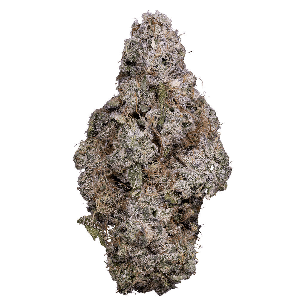 Tribal - Porto Leche 3.5g Dried Flower