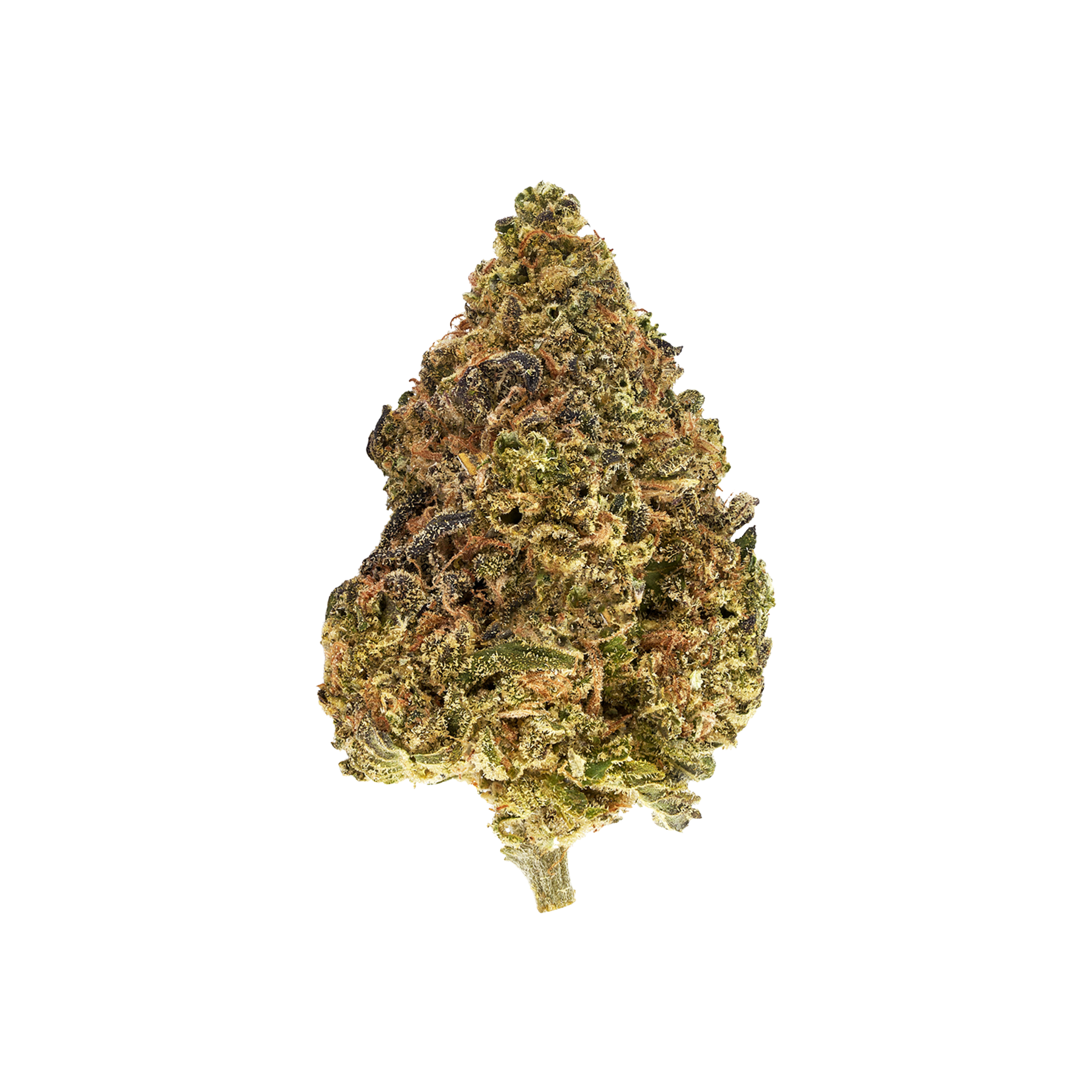 Blueberry Muffinz 7g Dried Flower