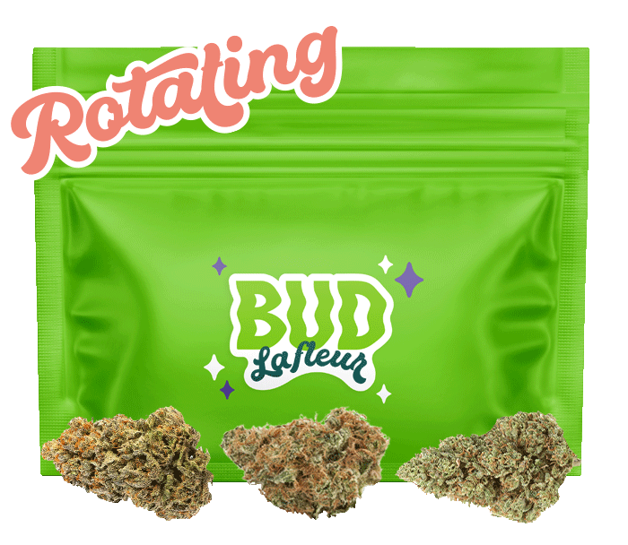 Fruity Fun 3.5g Dried Flower