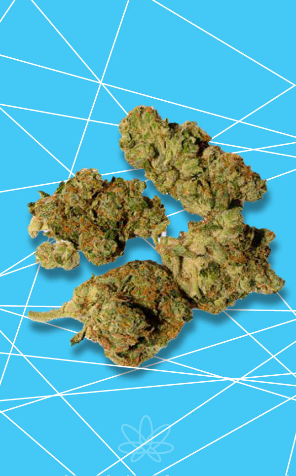 Product image BC Green - Frosted Gumbo 14g Dried Flower 1