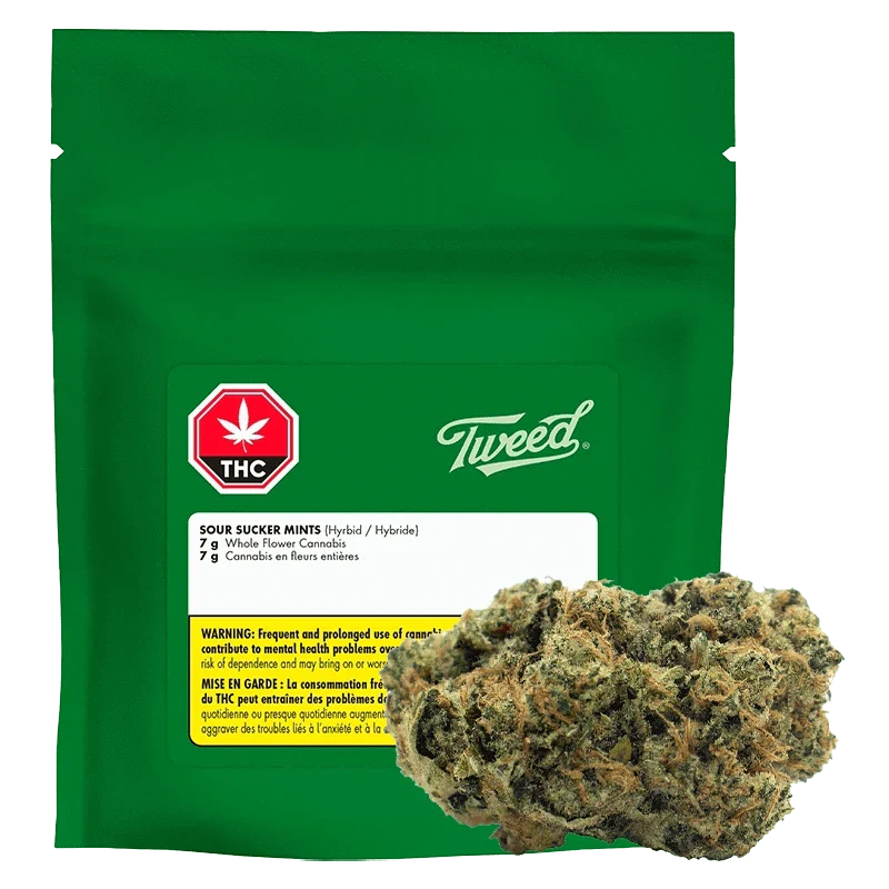 Sour Sucker Mints 28g Dried Flower