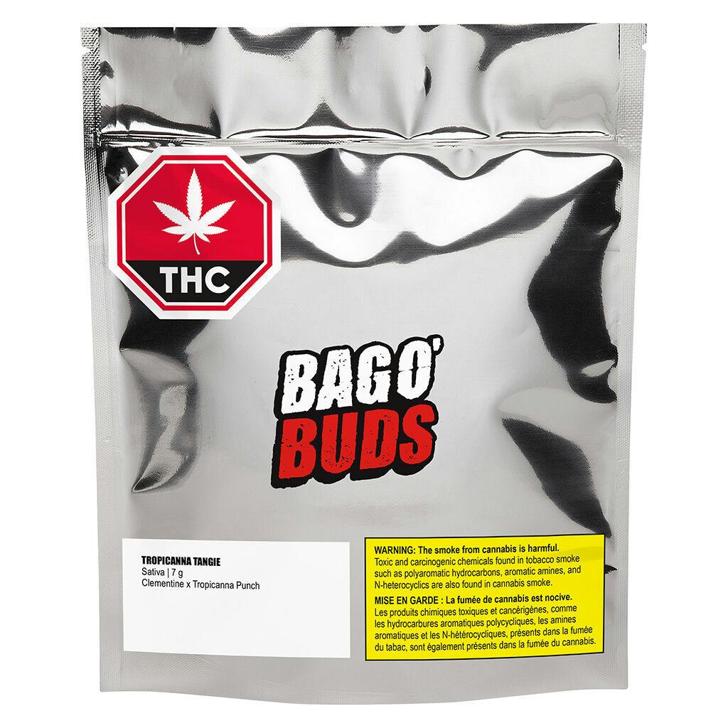 Product image Big Bag O' Buds - Tropicanna Tangie 1