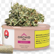 CBD Rntz THC CBD Balanced 3.5g Dried Flower