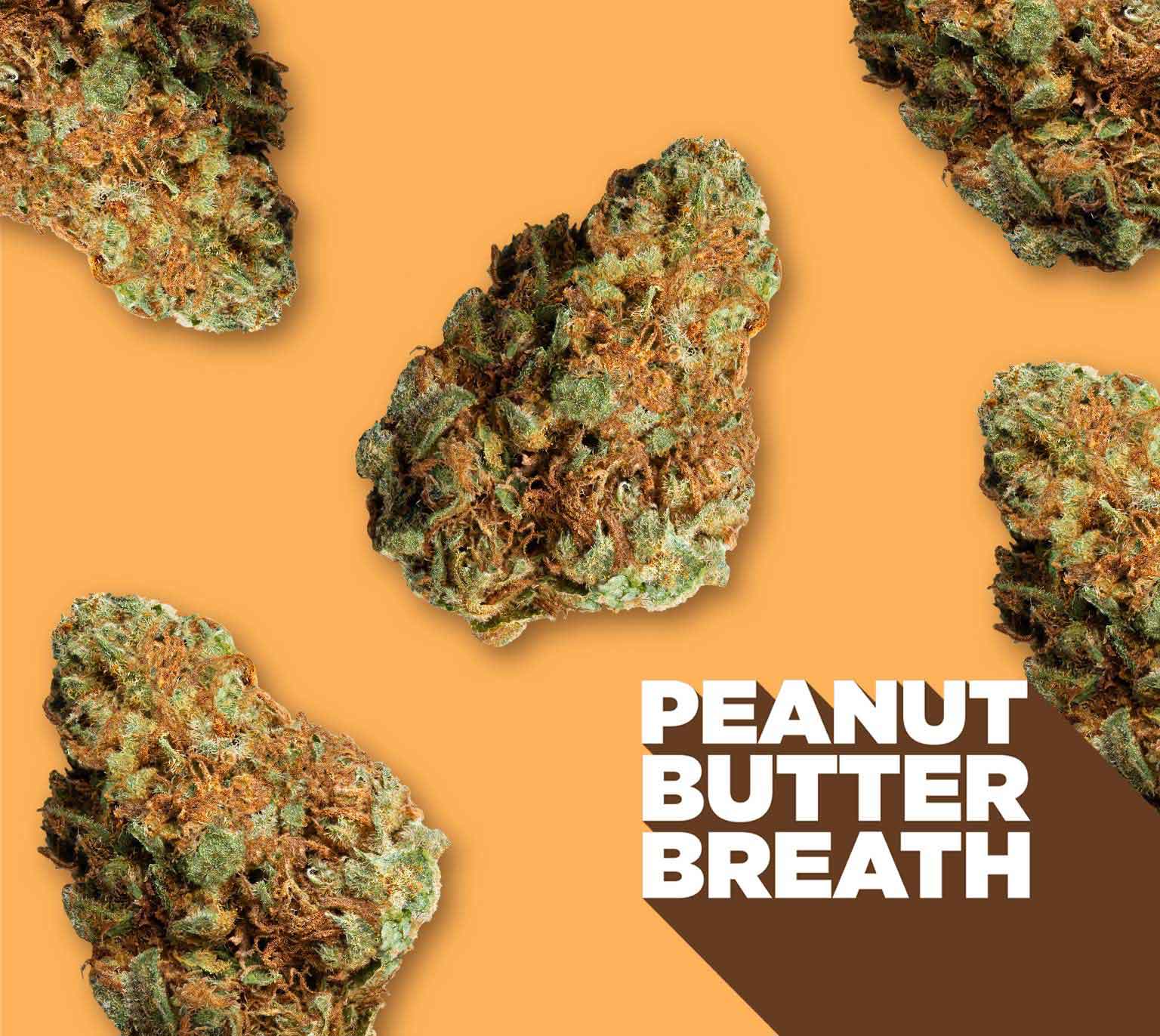 Peanut Butter Breath 28g Dried Flower