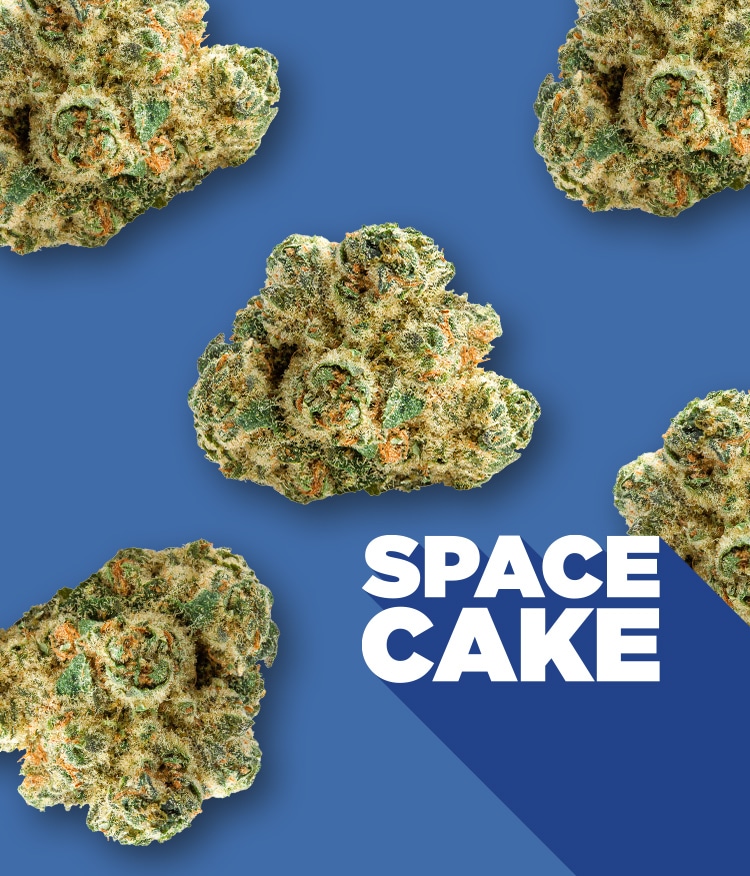 Space Cake 14g Dried Flower