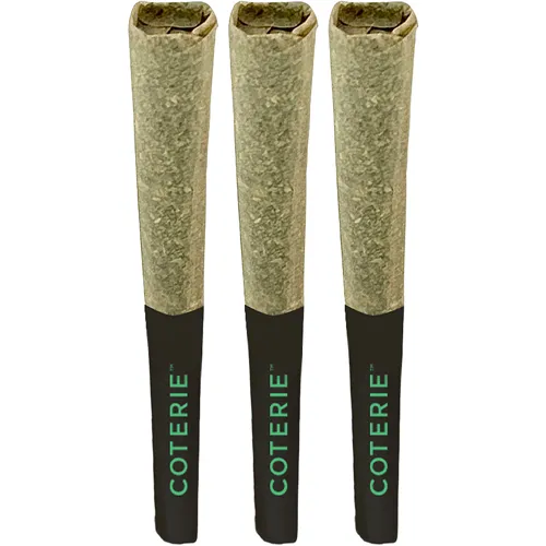 Coterie - Grape Gotti #12 3 x 0.5g Pre-Rolls