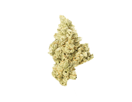 Mango Cake 3.5g Dried Flower