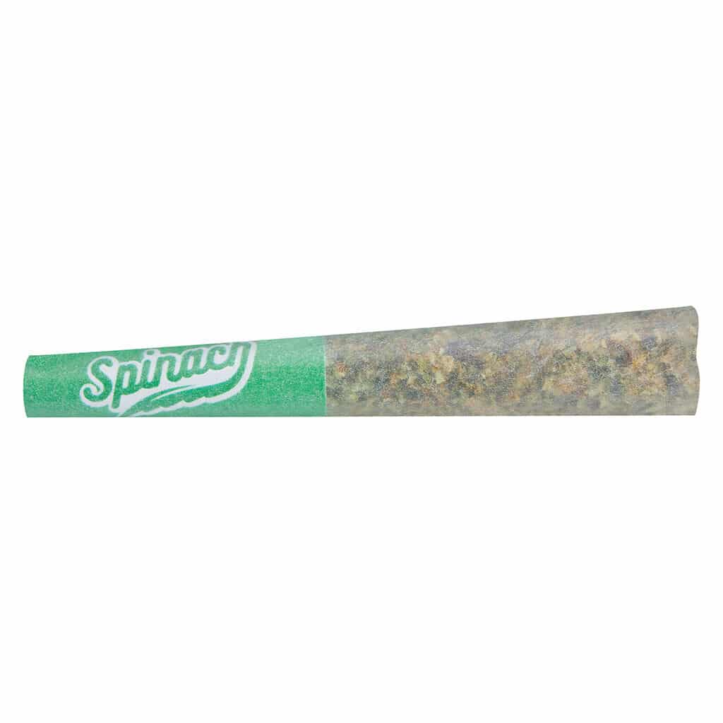 Spinach - Blue Thai 1x0.5g