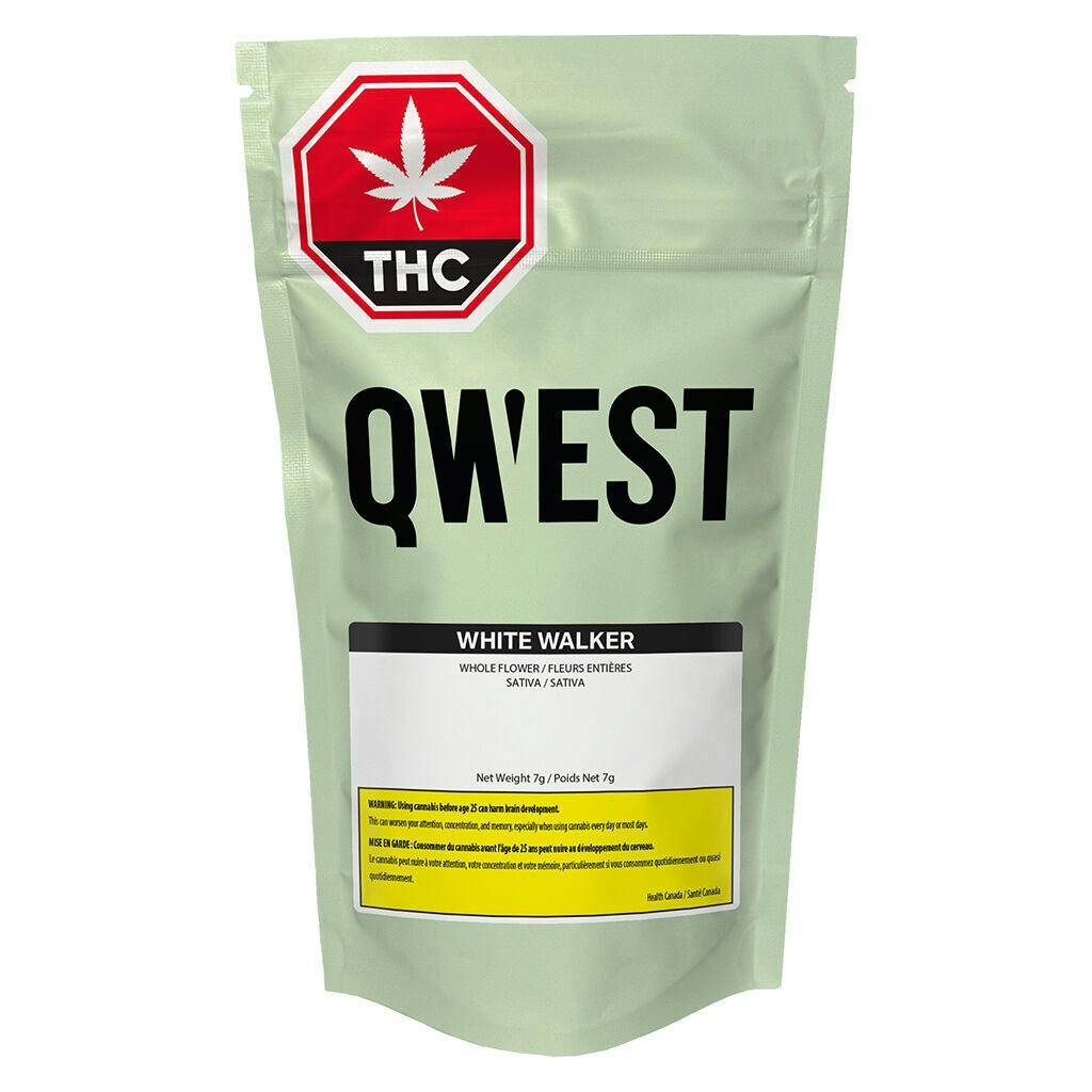 Qwest - White Walker Craft