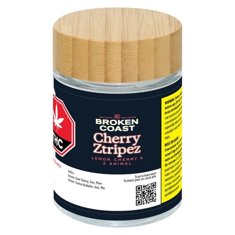 Broken Coast - Cherry Ztripez