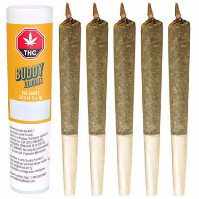 Product image Big Buddy Sativa 5 x 1g PreRolls 1