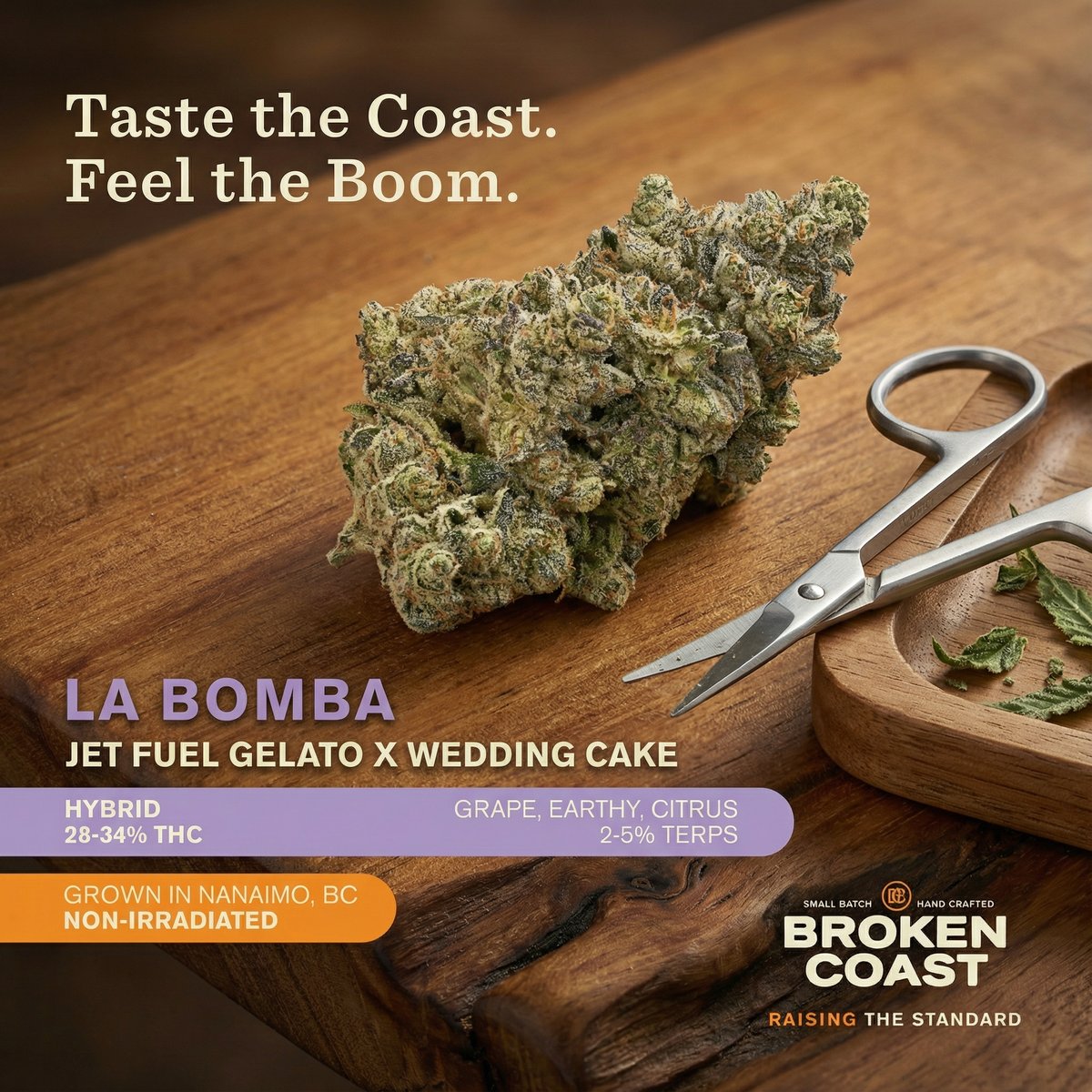 Broken Coast - La Bomba