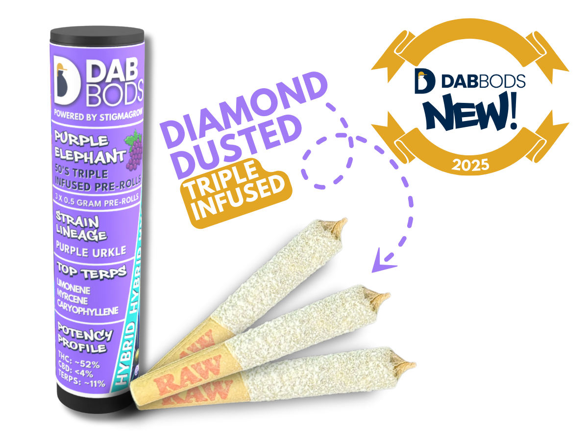 Purple Elephant 50's+ 3 x 0.5g Triple Infused PreRolls  3 x