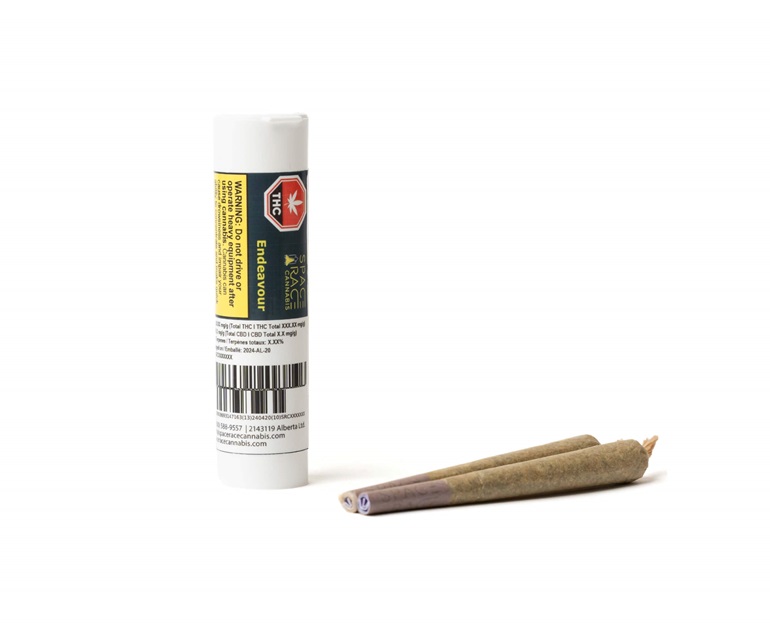 Endeavour 2 x 1g PreRolls